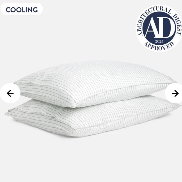Washed European Linen Pillowcase Set (Standard in Pinstripe in Fresh Moss)