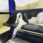 Scenic Gondola Rides