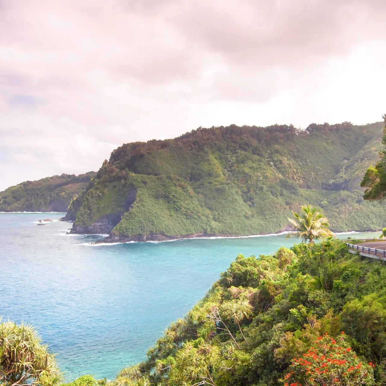 Leslie Scott and Simon Tran's Wedding Registry on Zola, image size:1280x1280