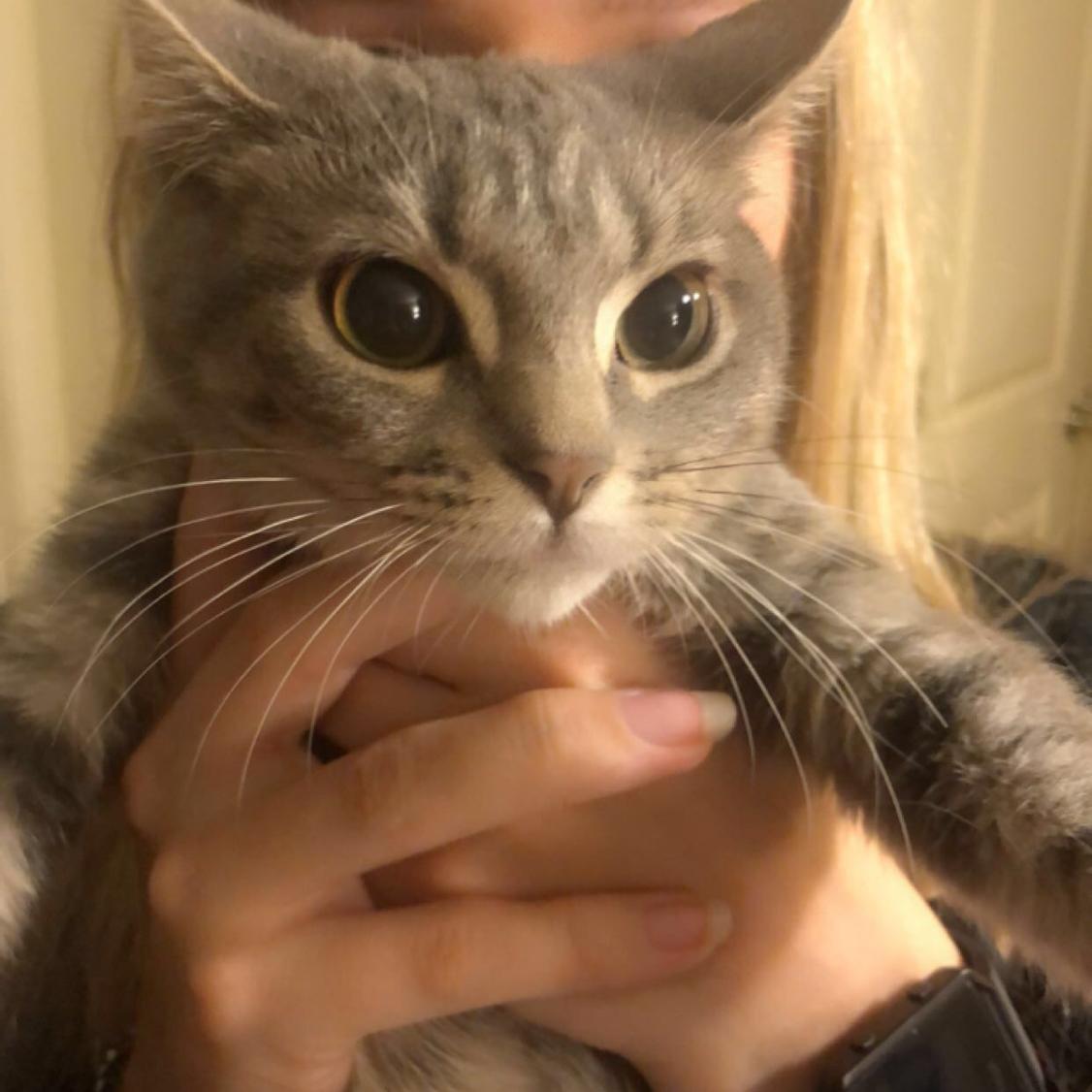 Guppy 12/5/2022 rest over the rainbow bridge, we love you.