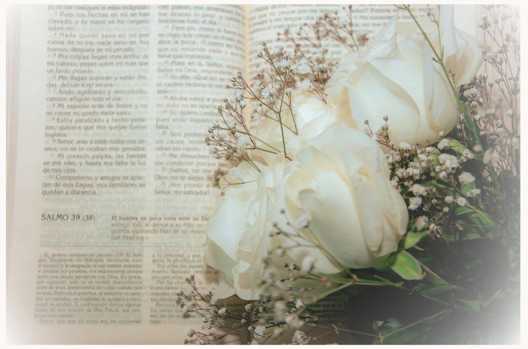 The Wedding Website of Jennifer Ouellette and Joshua Manoi