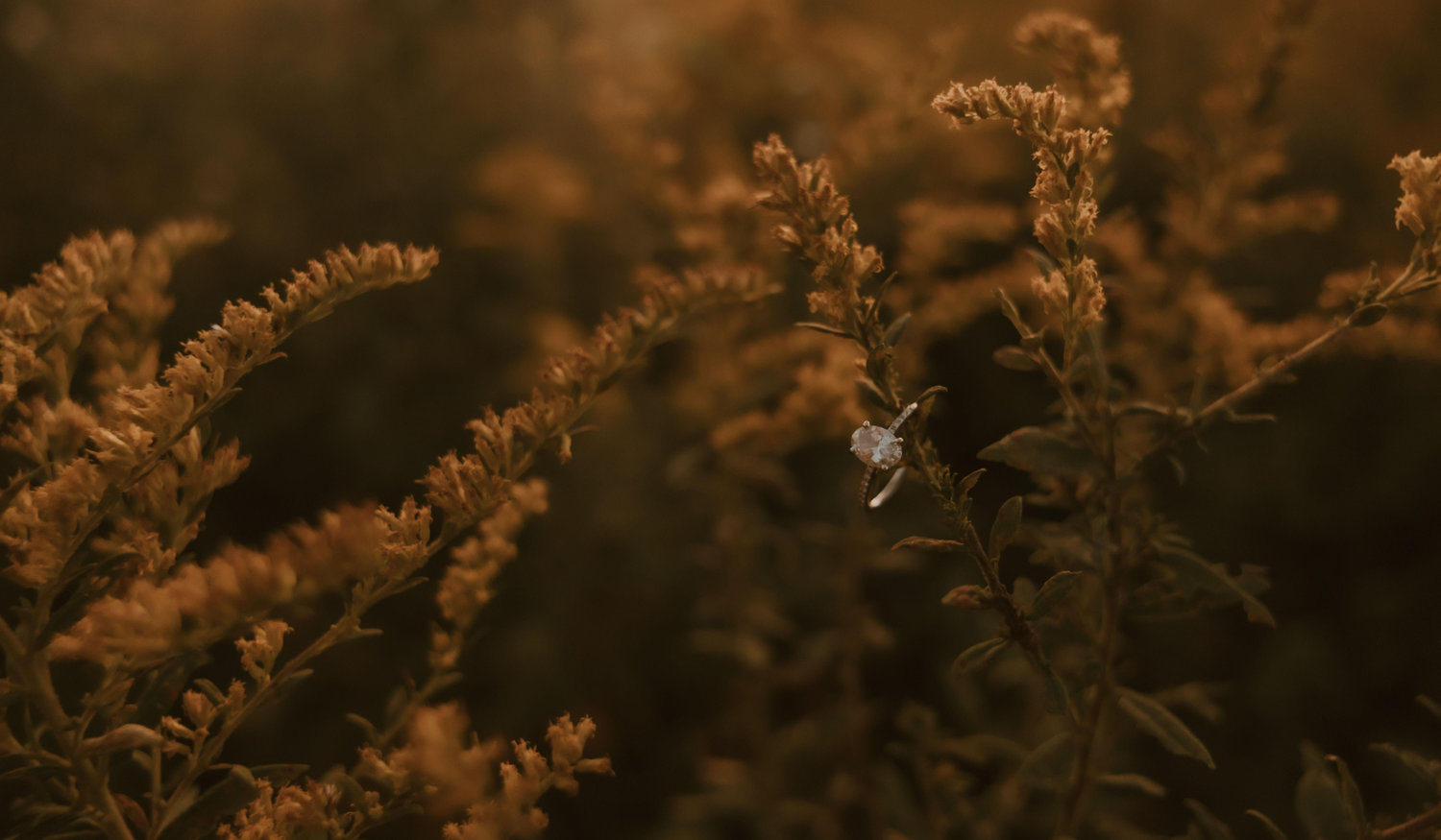 Footer image