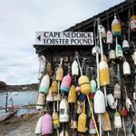 Cape Neddick Lobster Pound Harborside Restaurant