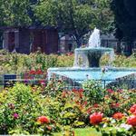 Municipal Rose Garden