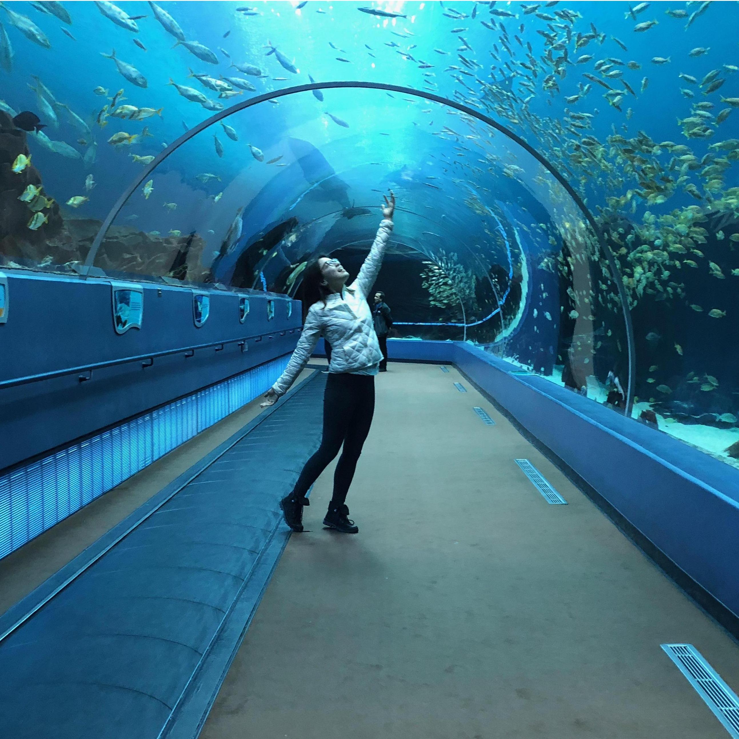 Atalanta Aquarium
GA
Winter 2018