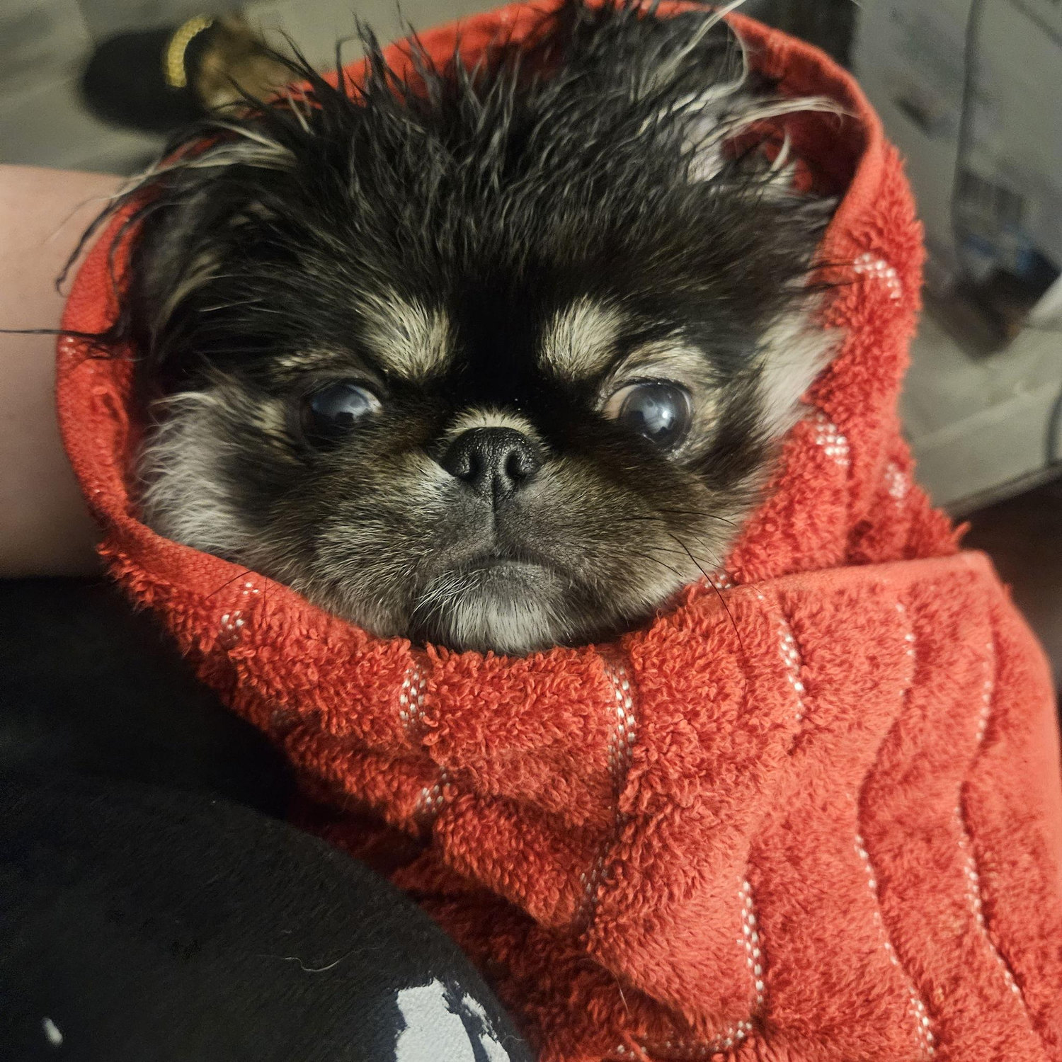She loves post-bath burrito time