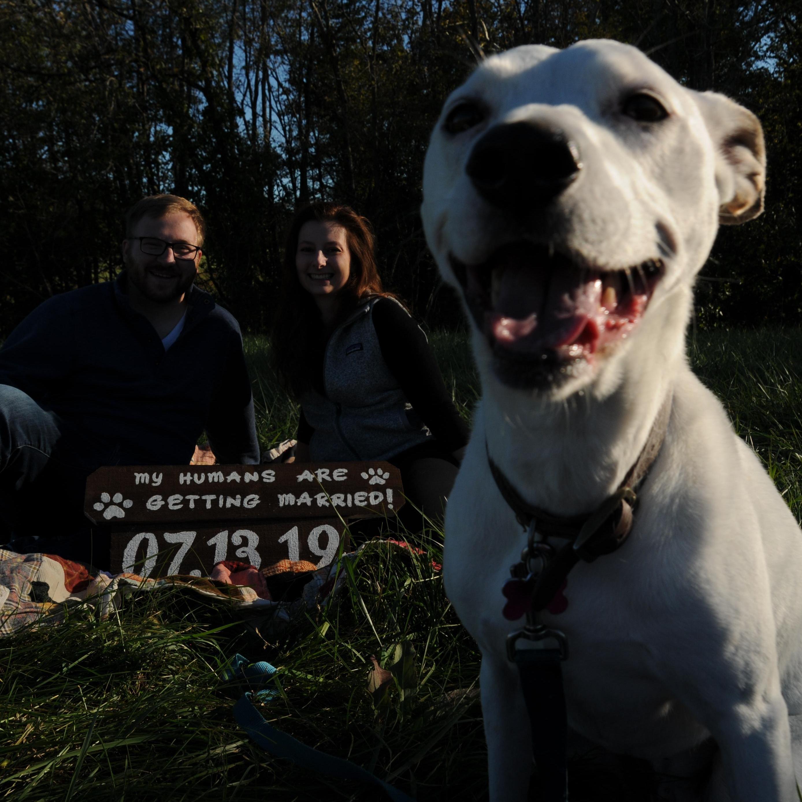 Our family wouldn't be complete without this gorgeous girl!