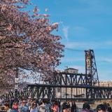 Portland Saturday Market