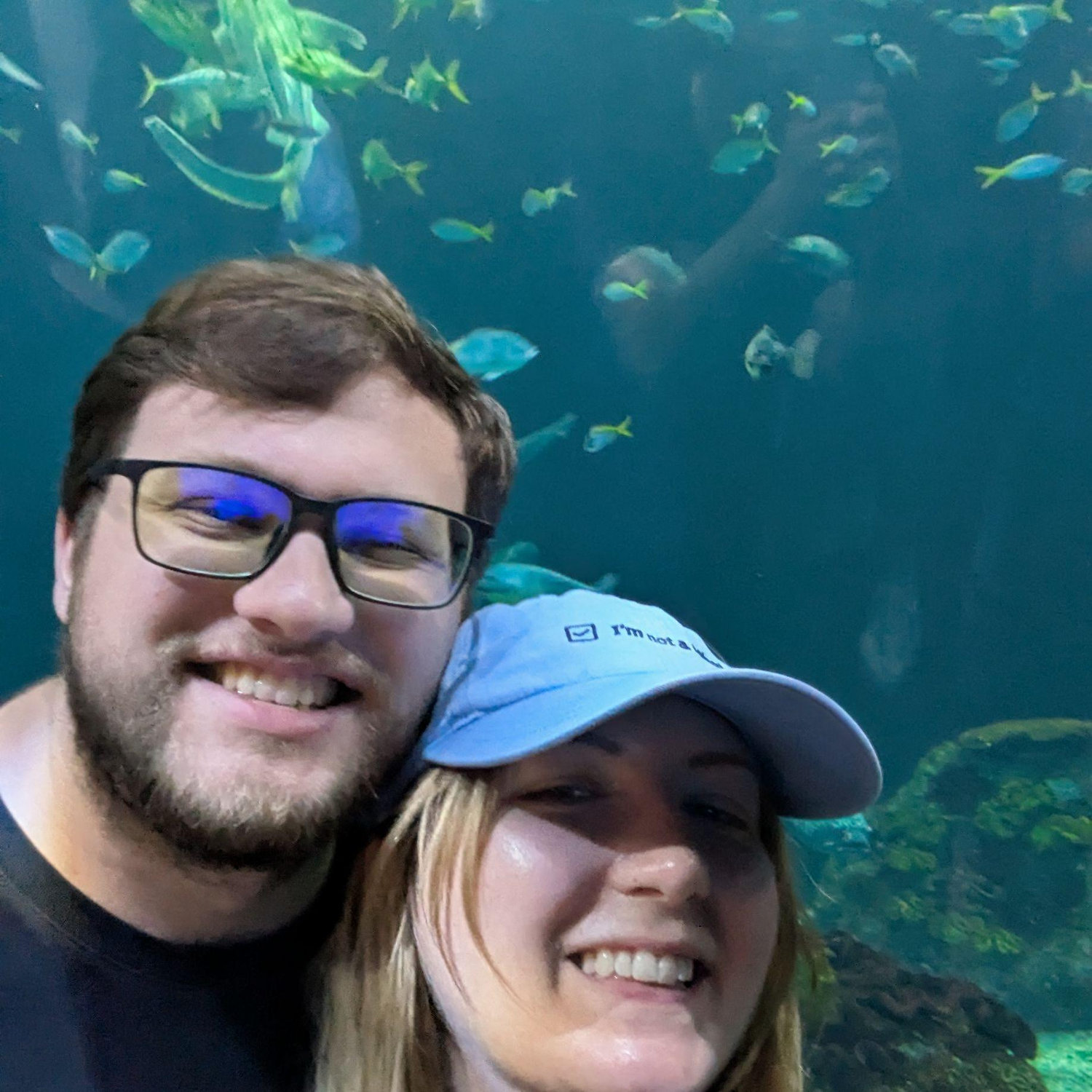Visiting the Shedd Aquarium