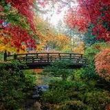 Portland Japanese Garden