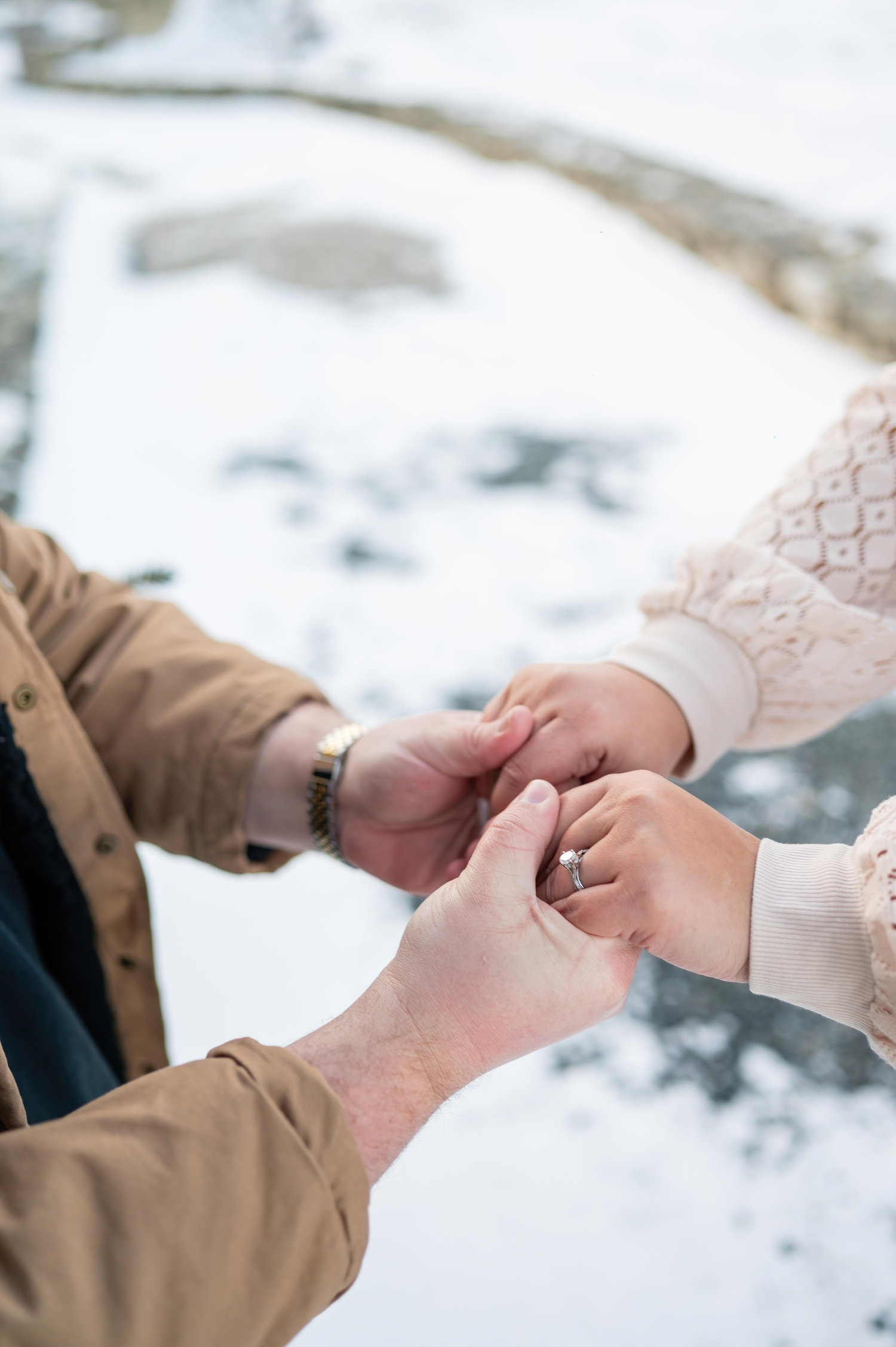The Wedding Website of Andrea Lissette Dahdah Palencia and Brandon Michael Dabkowski