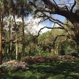 Washington Oaks Gardens State Park