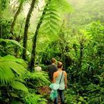 Monteverde