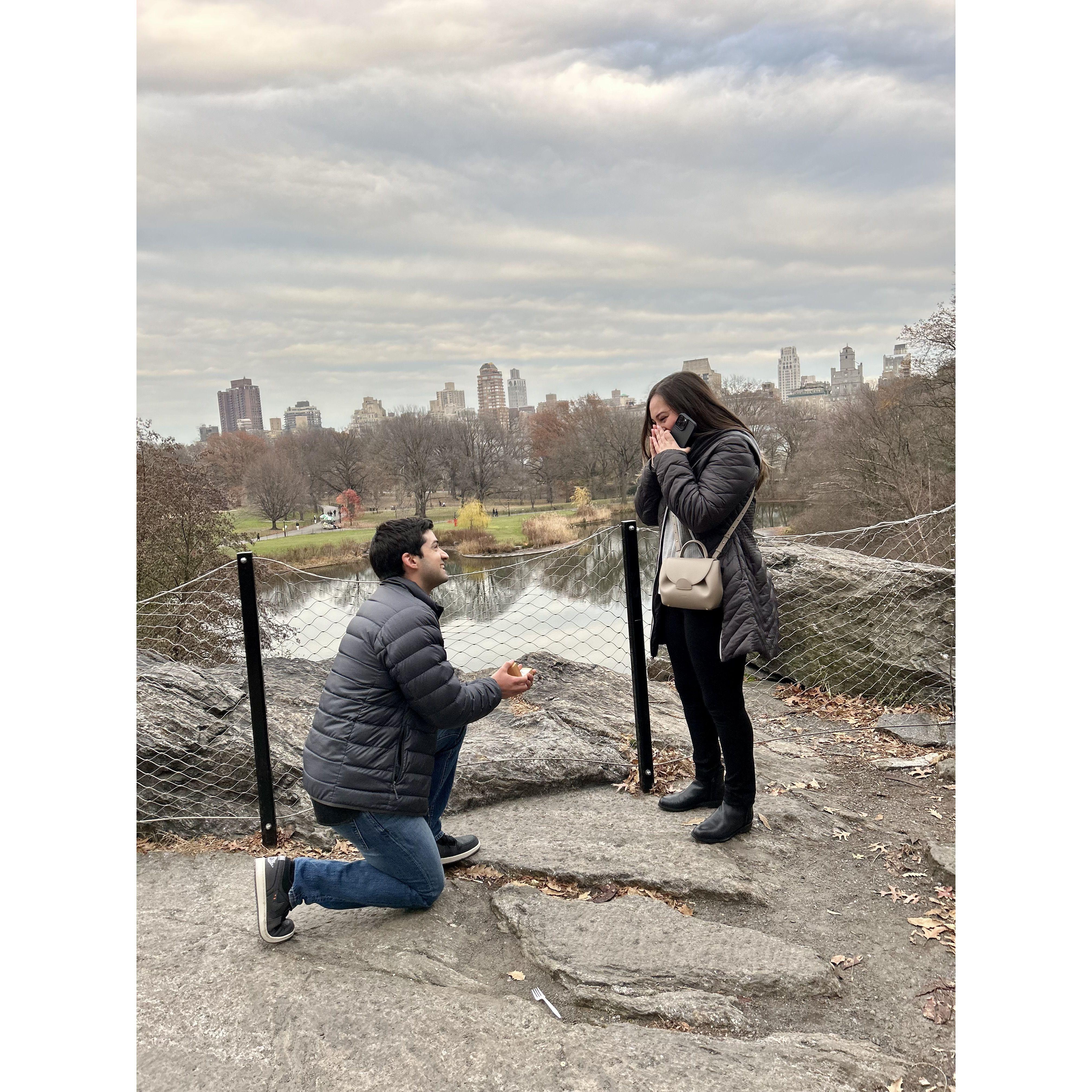 In Central Park, New York City on December 8, 2023 we got engaged!