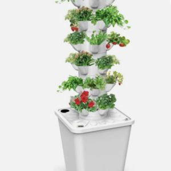 Hydroponic Tower Garden System