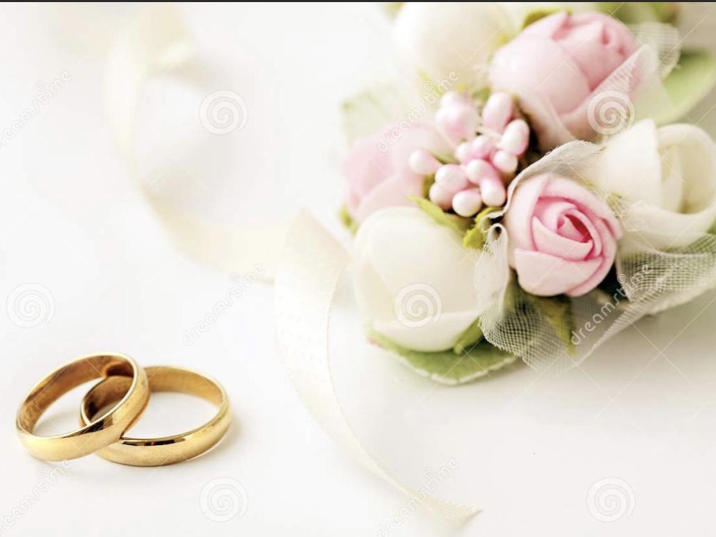 The Wedding Website of Luciana Camargo and Mike Reining