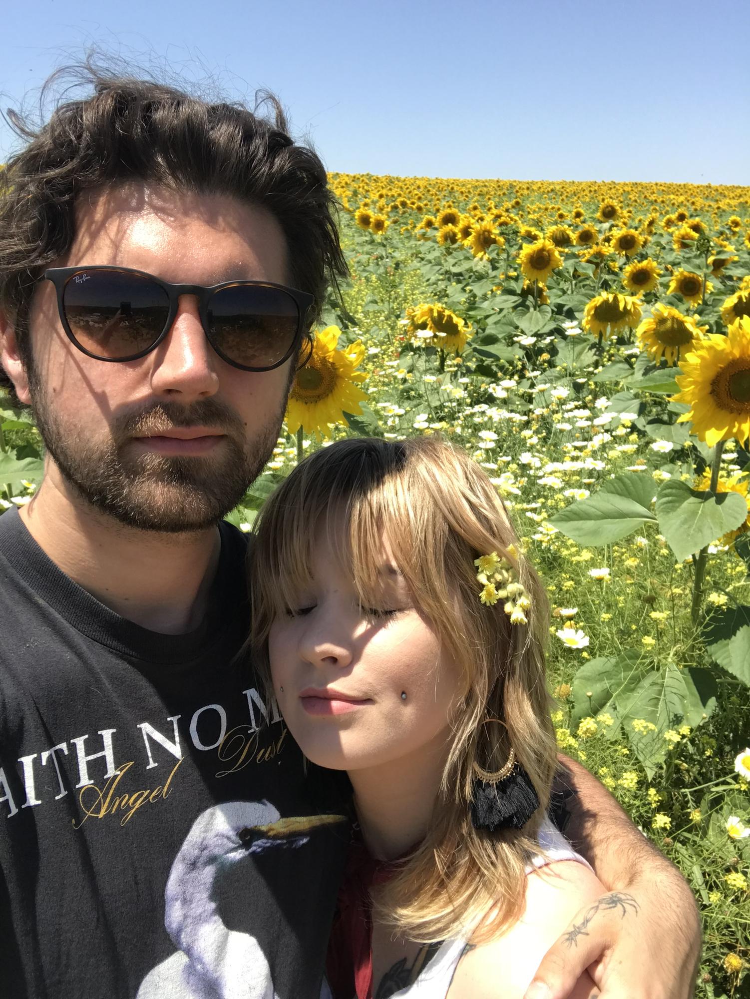 a beautiful field of sunflowers on the side of the highway in Seville, Spain