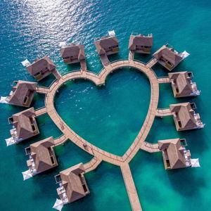Honeymoon 2026 fund - Venmo
