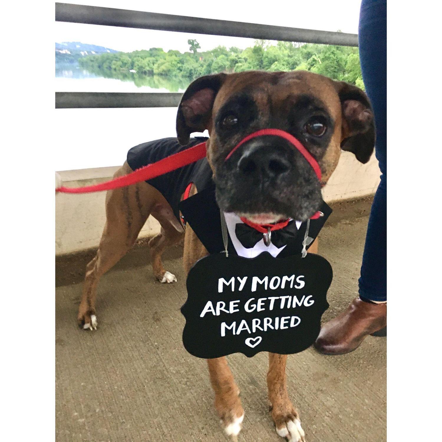 Dundee helped mom propose to mom