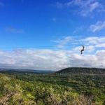 Wimberley Zipline Adventures