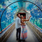 Shark Reef Aquarium at Mandalay Bay