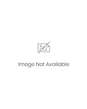 TAHARI Mosaic - 28x30 Mother Of Pearl 2 Door Storage Cabinet