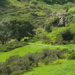 Glen Canyon Park