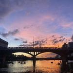 Bats Under Congress Bridge