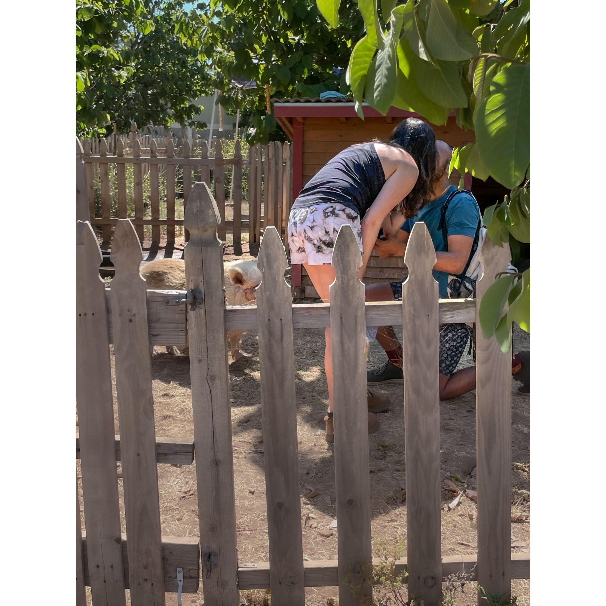 Zach proposing, can you spot Piggy Smalls?