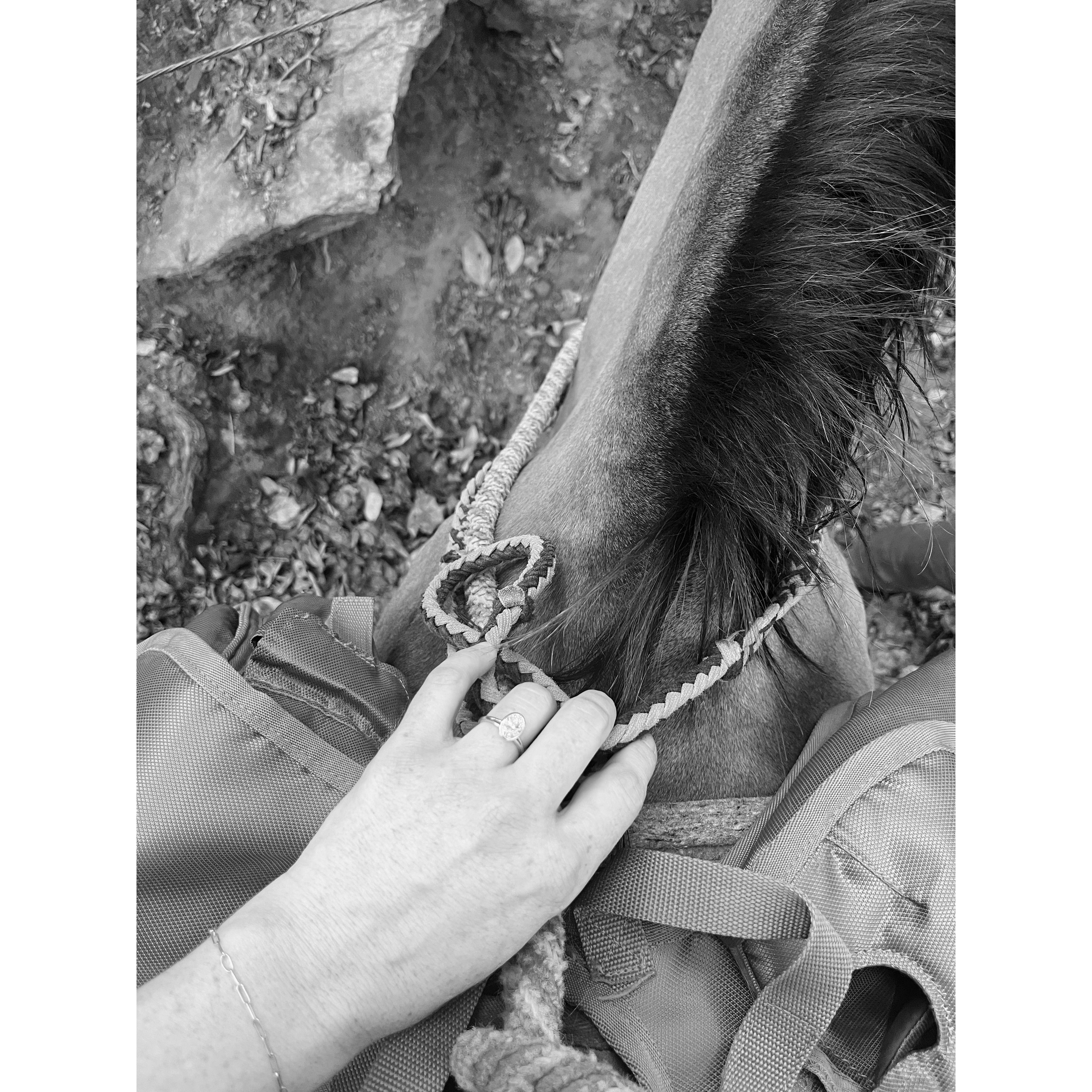 Trail ride in the Blue Ridge Mountains, where Josh proposed. Asheville, NC, September 2024.
