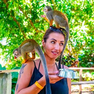 Jungle Buggies & Monkeyland Tour for 2 - Dominican Republic
