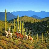 Rancho de los Caballeros