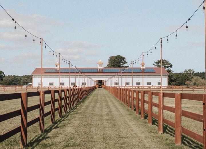 The Wedding Website of Bridgette Green and Chase Harmon