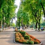 Copou Park
