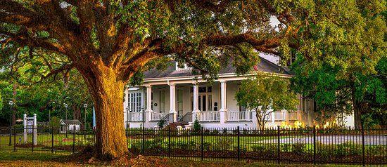 The Wedding Website of Kimberly Collier and Hector Rivera