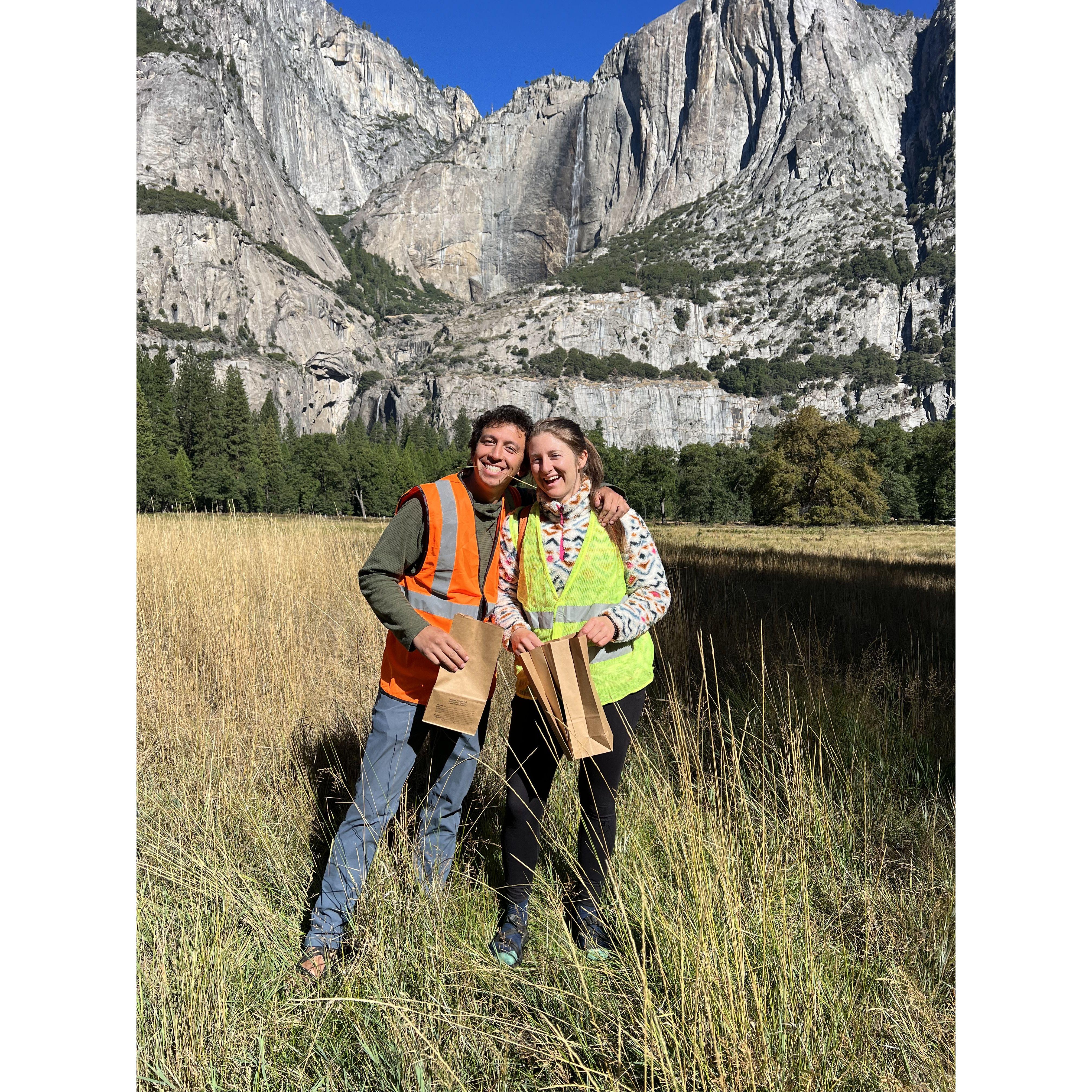 First Yosemite Facelift | California