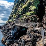 The Gobbins Cliff Path