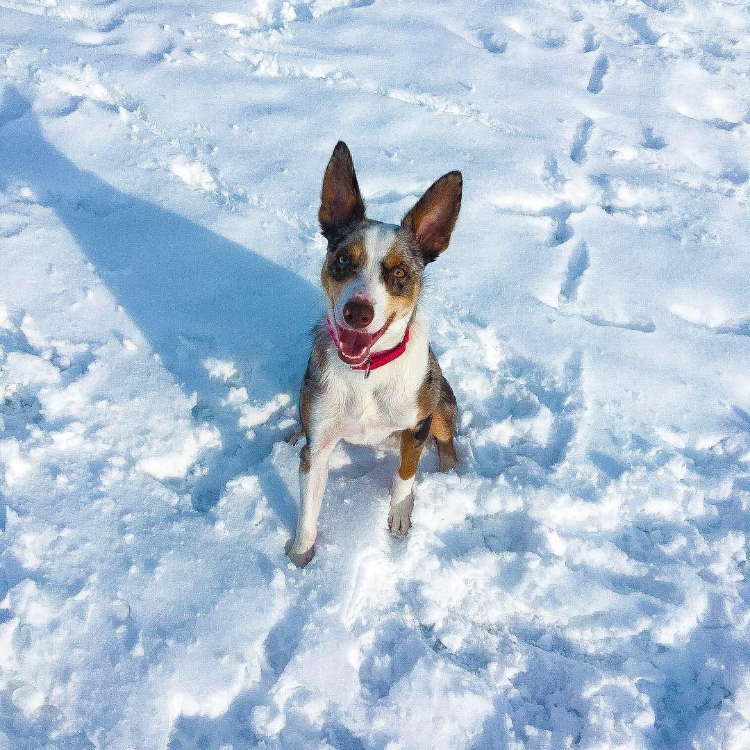 1/16/19 - Our handsome boy!