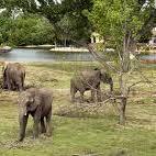 Sedgwick County Zoo