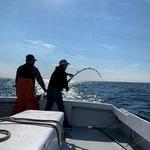 Capeshores Charters