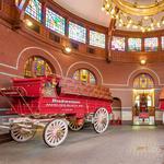 Budweiser Brewery Experience
