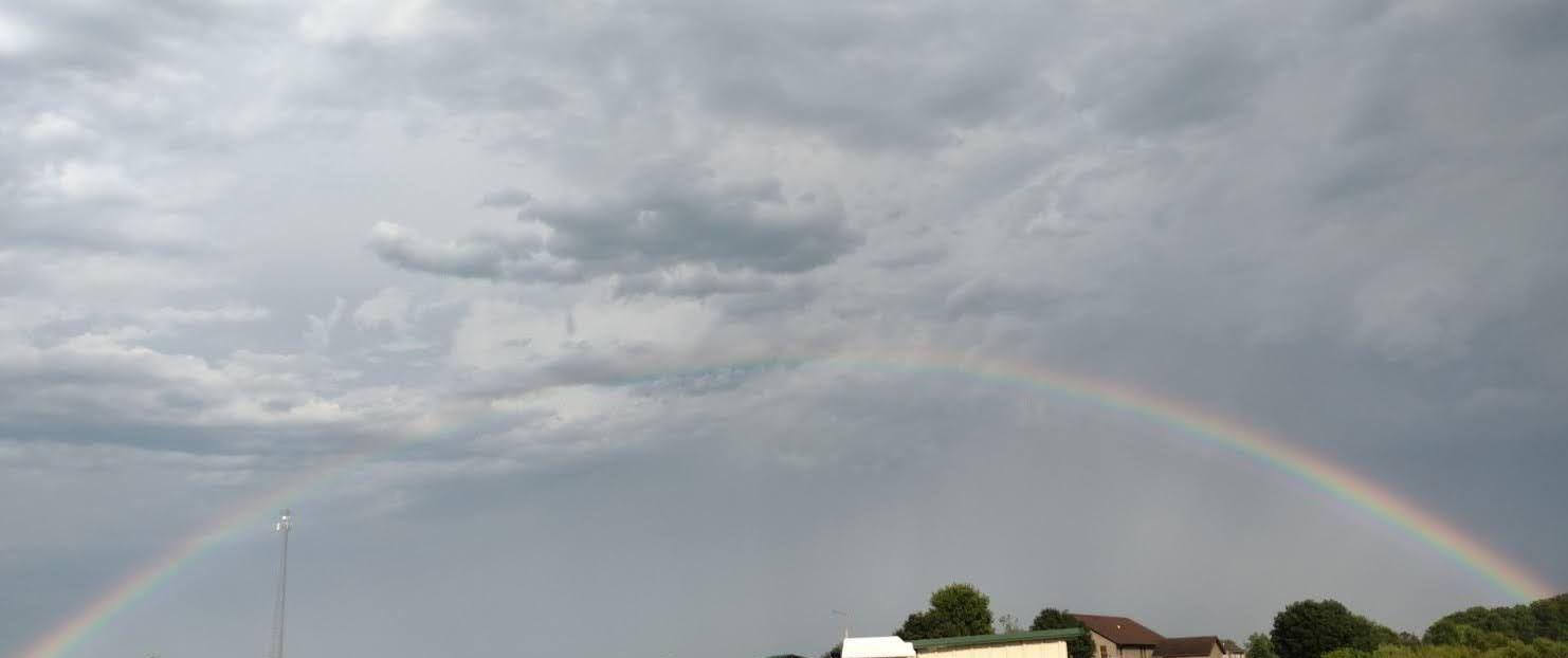 The Wedding Website of Lynn Sparber and Lea Branyan