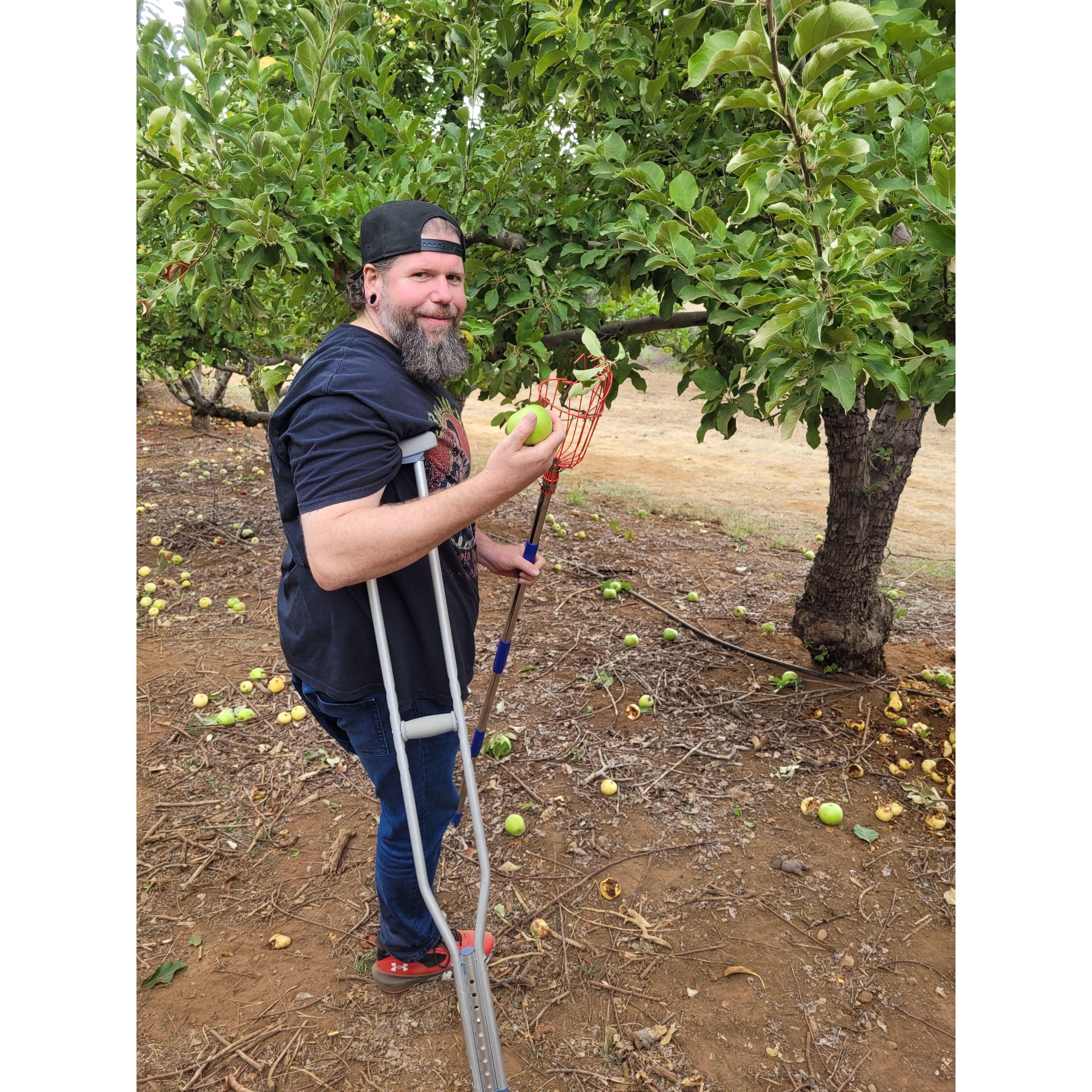 Todd's first time apple picking, October 2023.