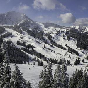 Lift Tickets