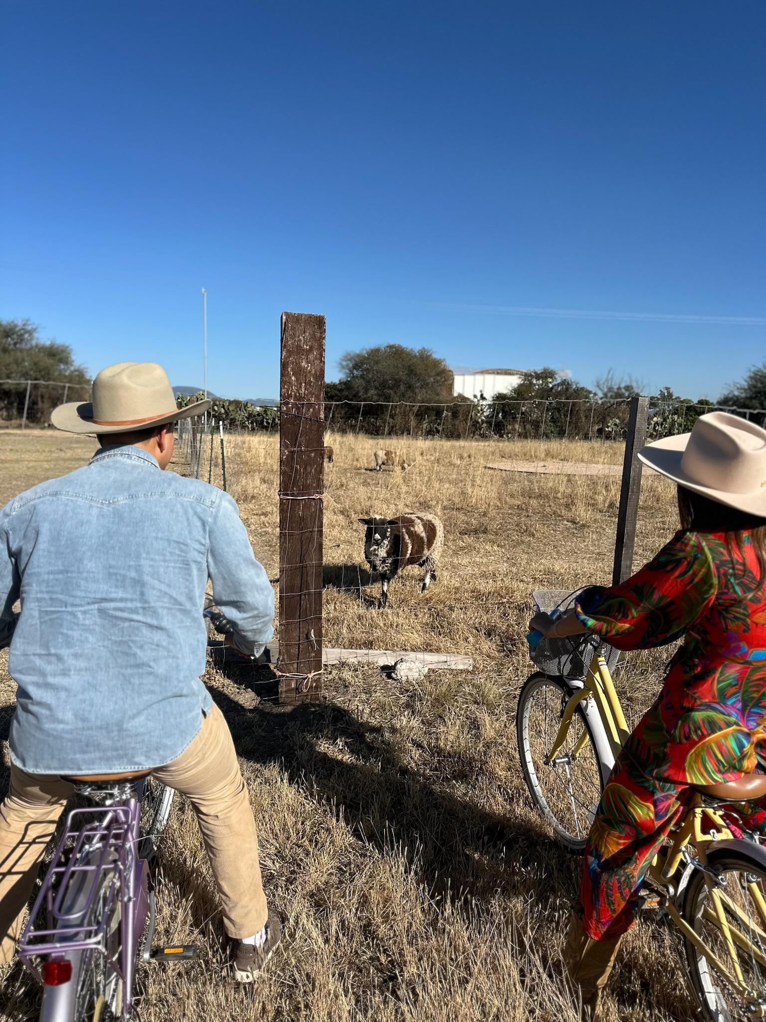 The Wedding Website of Alex Cervantes and Brooke Jamrozik