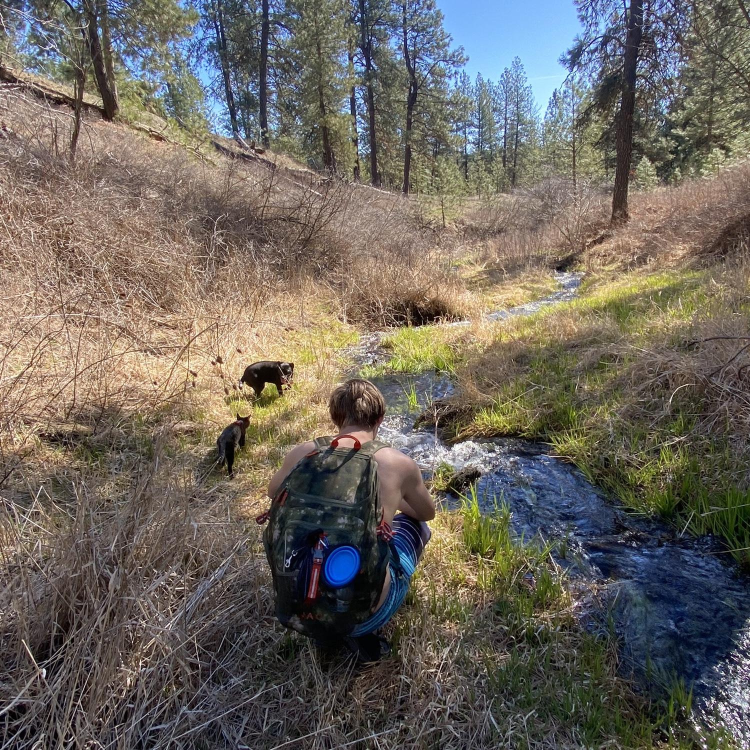 Hiking with our little family