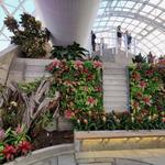 Myriad Botanical Gardens