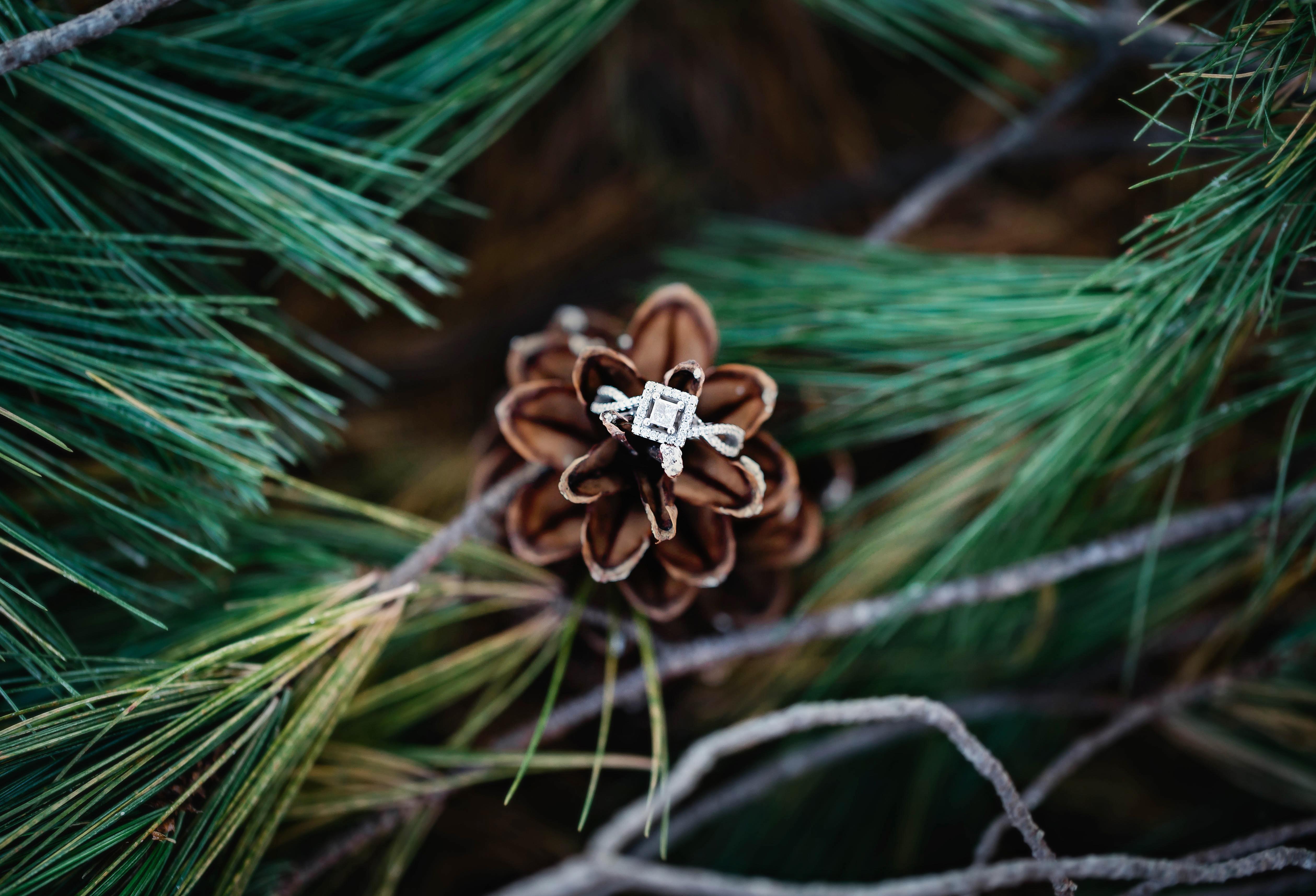 The Wedding Website of Mike Ehr and Karmen Adamski