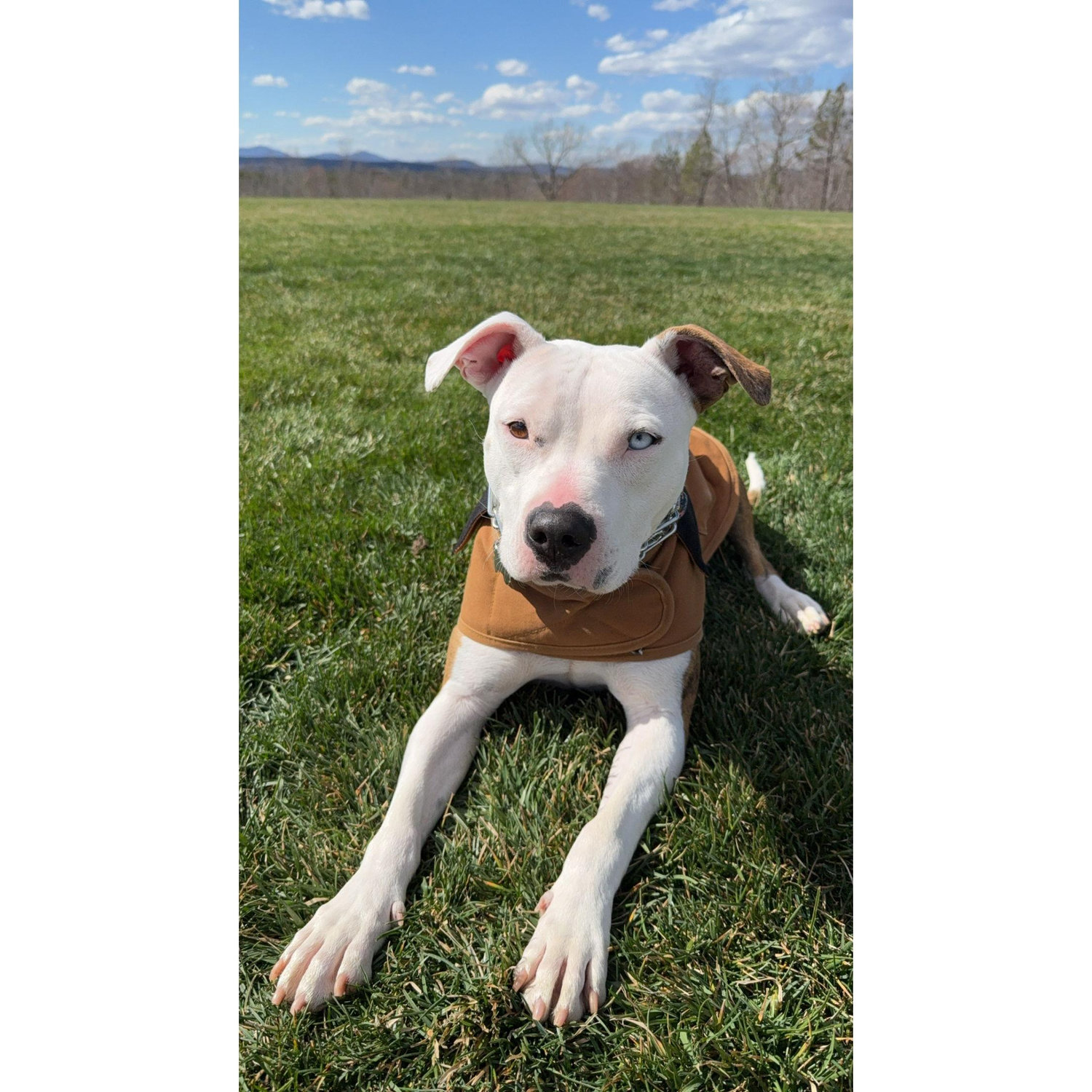 Aiko, AKA Kiki