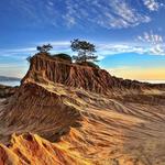 Torrey Pines State Reserve